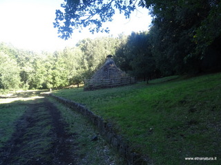 Bosco di Centorbi
